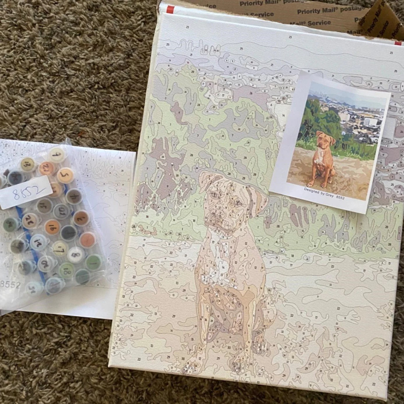 Memory Canvas: Numbered Paint Kit
